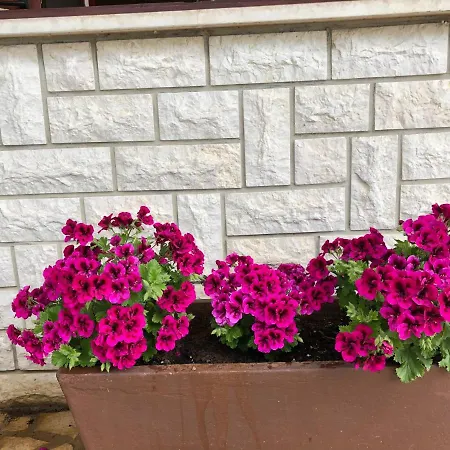 公寓 Stefanija 诺维·维诺多尔斯基