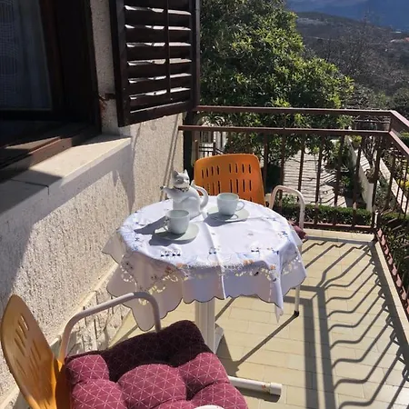 Stefanija * 诺维·维诺多尔斯基