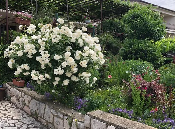 Apartment Stefanija *