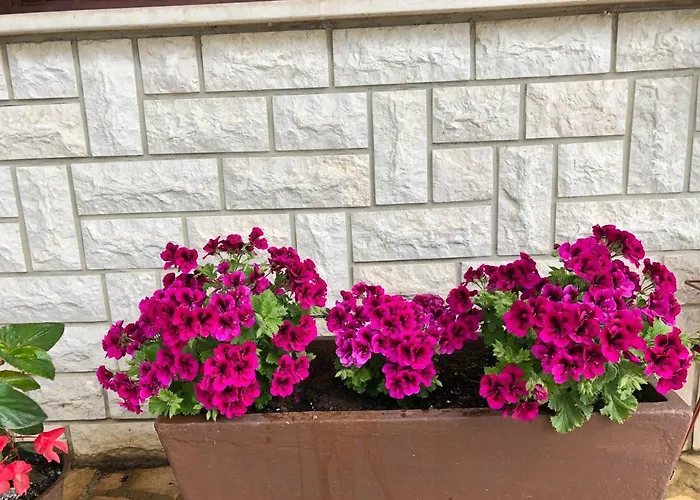 Apartament Stefanija Novi Vinodolski
